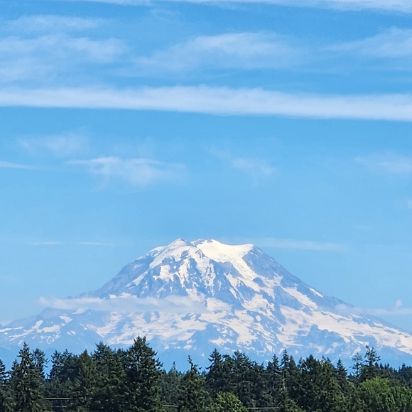 Meet your Posher, Flavia - Picture 7 of 9